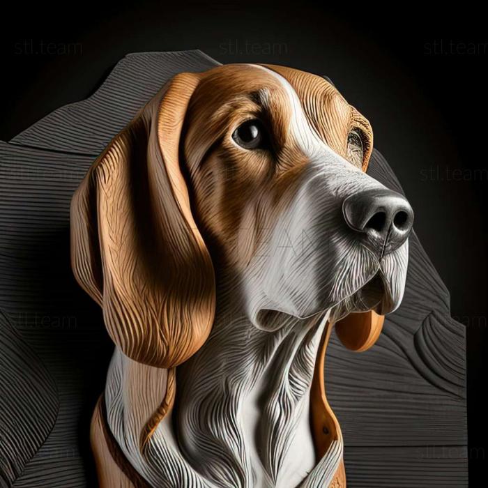 English Foxhound dog